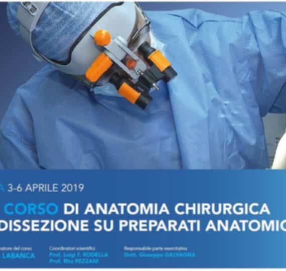 anatomia-chirurgica-2019